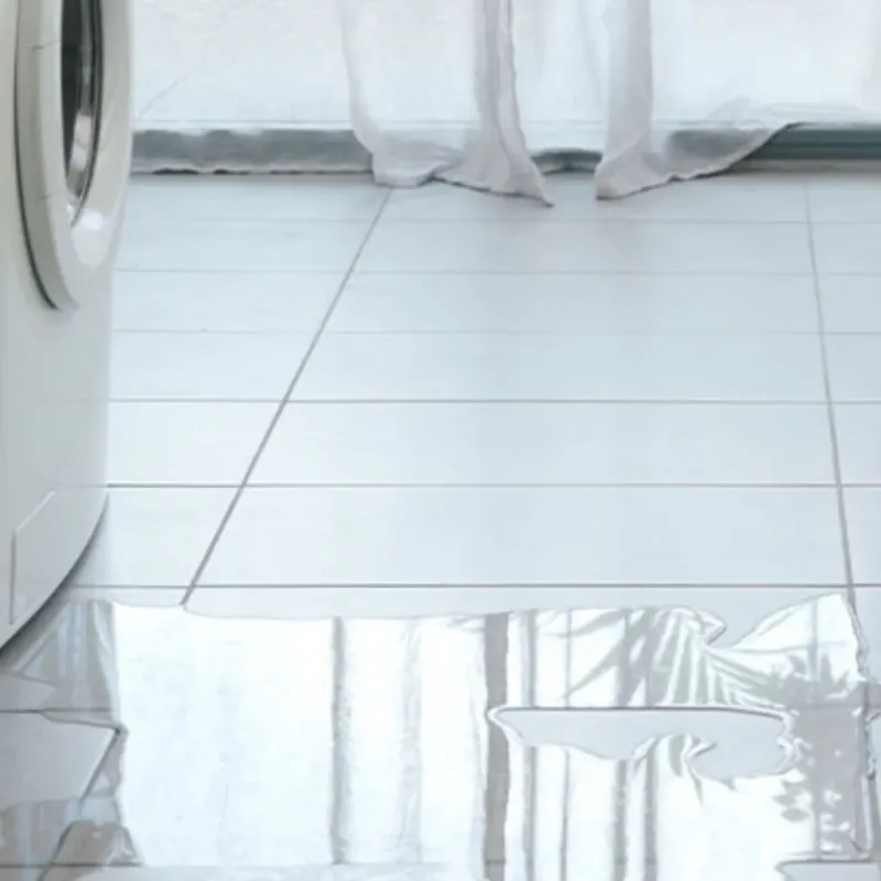 Appliance Leak Cleanup in Trenton, GA
