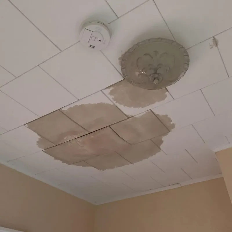 Ceiling Water Damage Repair in Trenton, GA