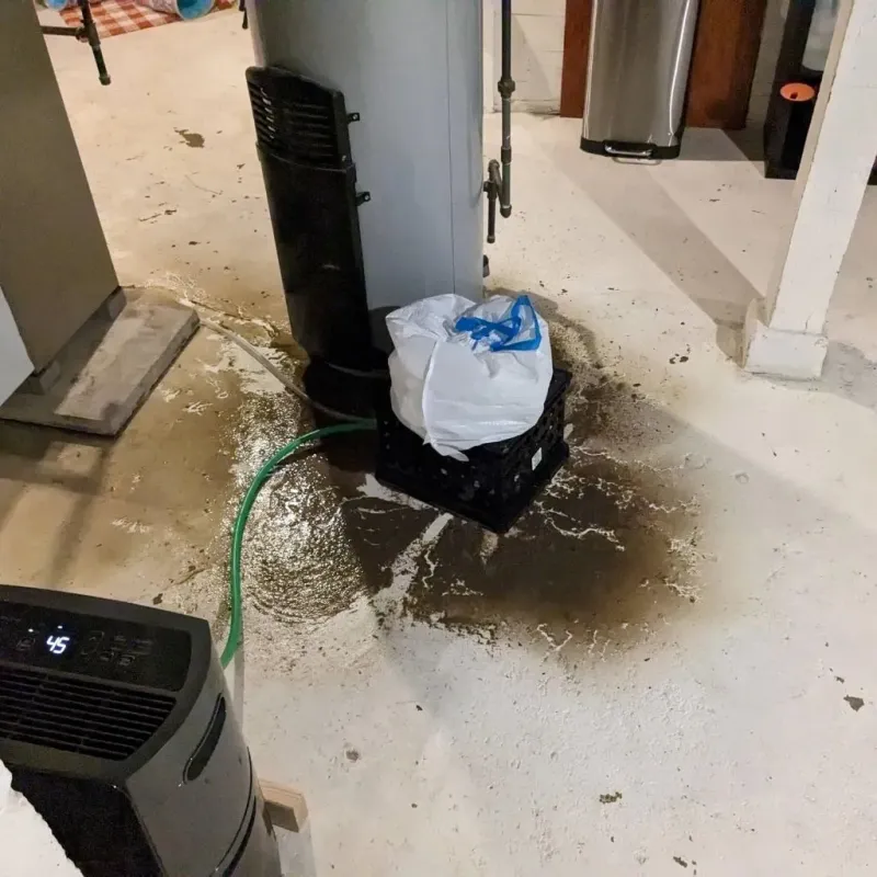 Sewage Backup Cleanup Service in Trenton, GA